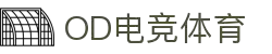 OD电竞体育 - 专业电竞资讯与赛事平台